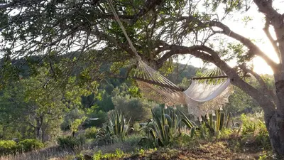 Paisaje cerca of this country house