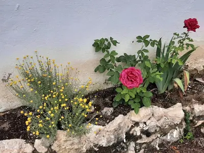 Jardín al aire libre en CASA RURAL 