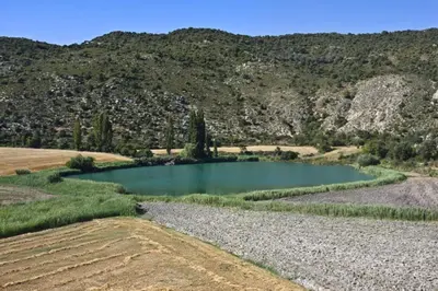 Paisaje cerca de este apartamento