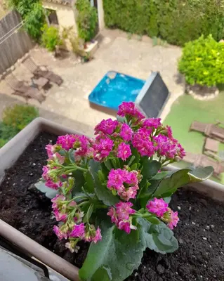 Jardín al aire libre en Els Canterers