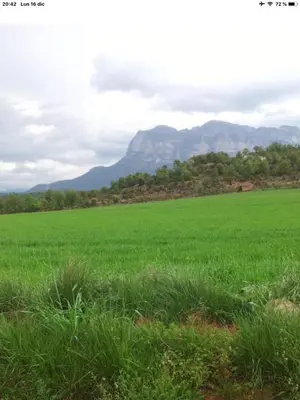 Paisaje cerca de este apartamento