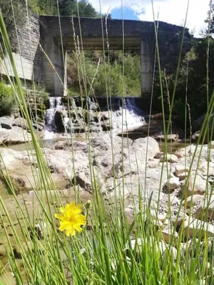Paisaje cerca de este apartamento