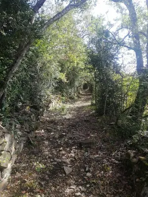Paisaje cerca de este apartamento