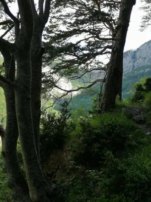 Paisaje cerca de este apartamento