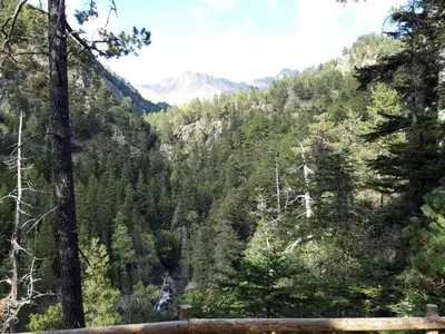 Paisaje cerca de este apartamento
