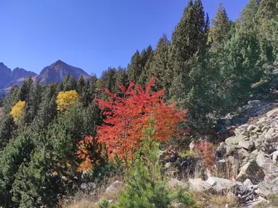 Paisaje cerca de este apartamento