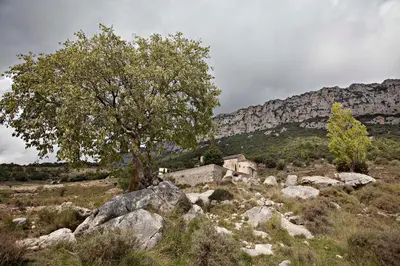 Paisaje cerca de este apartamento