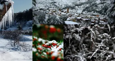 Cal Barceló en invierno