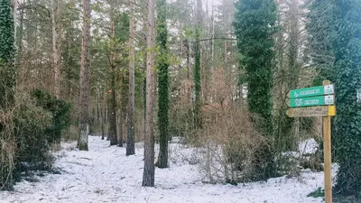 Atico Abi Villanua en invierno