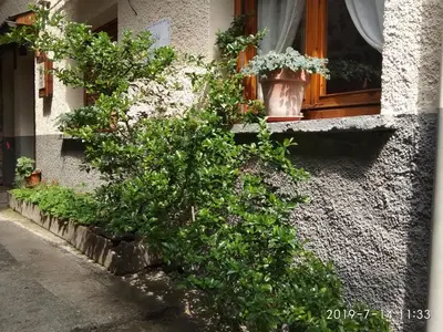 Jardín al aire libre en Casa Julio