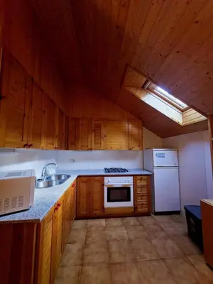 Una cocina o zona de cocina en Apartaments Vall Ferrera