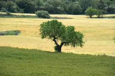 Paisaje cerca de este hotel