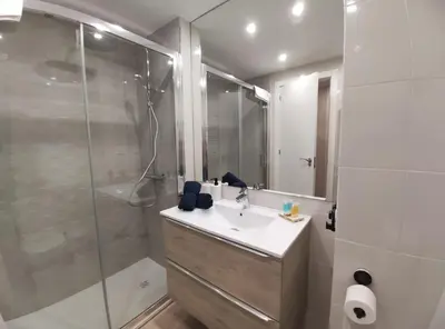 Un baño de Apartamento Casa Bielsa