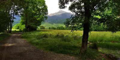 Paisaje cerca de este apartamento
