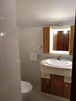 Un baño de Apartamento dúplex acogedor con piscina en Rialp