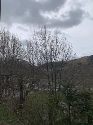 Paisaje cerca de este hostal o pensión