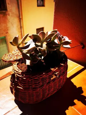 Plano de Cornu Karma Apartment Siuranella