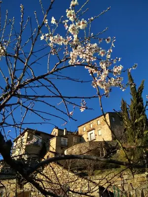 Plano de Dos Arcos Usana