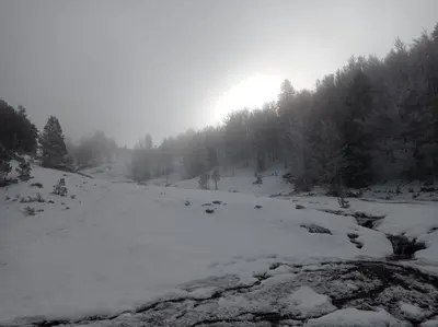 Apartamento Albareda en invierno