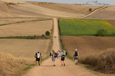 Clientes alojados en Quiet basic room in hosts house ideal for bikes and walking the camino