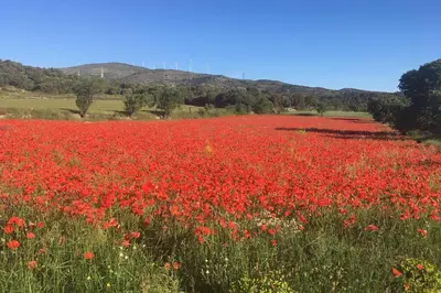 Paisaje cerca de esta casa o chalet
