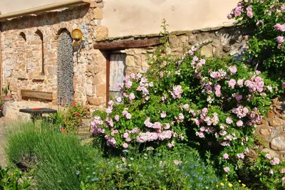 Jardín al aire libre en B&B Casa Rural Mas de las Tapias