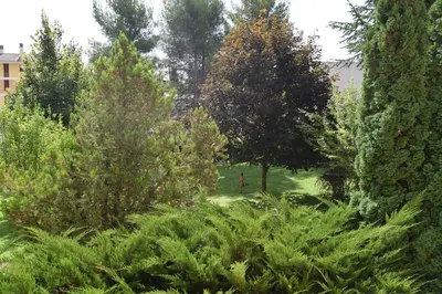 Jardín al aire libre en Acogedor apartamento con piscina compartida y opción a parking