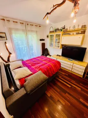 Una televisión o centro de entretenimiento en El refugio de la ardilla, apartamento Canfranc-estacion