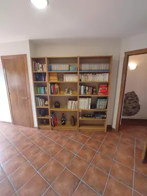 Biblioteca en el apartamento