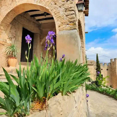 Habitaciones con encanto - Cal Alejandro