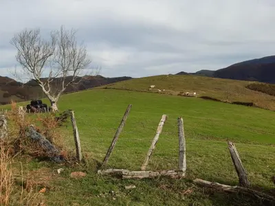Paisaje cerca de este apartamento