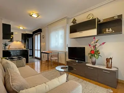 Una televisión o centro de entretenimiento en Apartamento Baztán