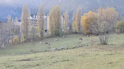 Paisaje cerca de este apartamento