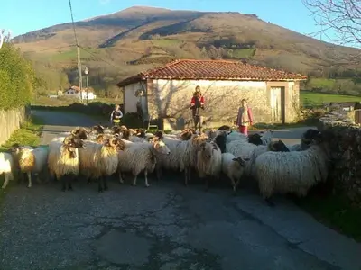 Animales en el agroturismo o alrededores