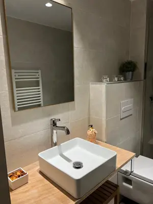 Un baño de Apartamento Ibones