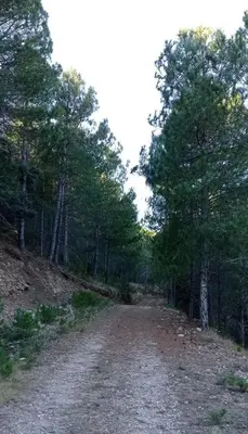 Paisaje cerca de este apartamento