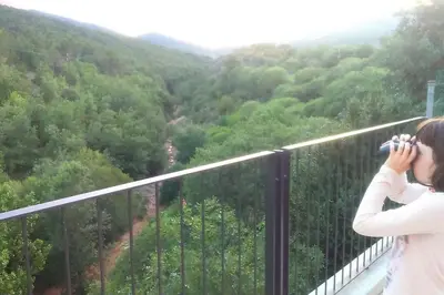 Paisaje cerca of this country house