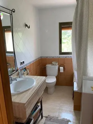 Un baño de Cal Roig