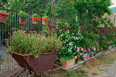 Jardín al aire libre en Casa A'Pajera