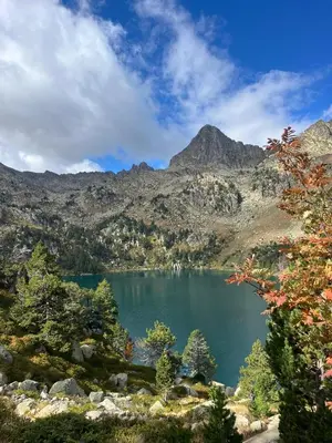 Paisaje cerca de esta casa o chalet