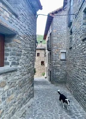 Mascotas con sus dueños en Casita Mondoto, encanto en el Pirineo