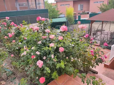 Jardín al aire libre en Casa amplia y luminosa cerca de Pamplona - Izarren Etxea