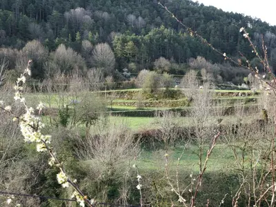 Paisaje cerca de este chalet de montaña