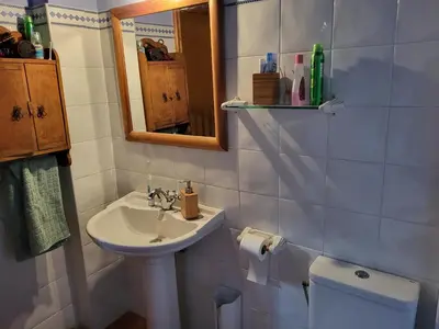 Un baño de Casa de fusta al cor dels Pirineus