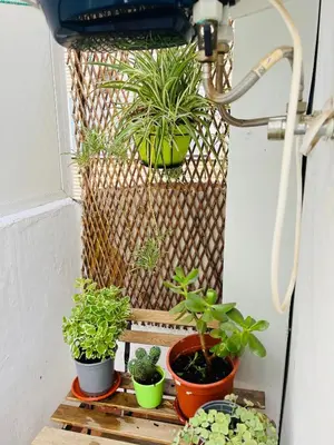 Plano de Apartamento Alcalá