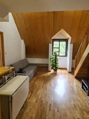 Zona de estar de Apartamento en Panticosa