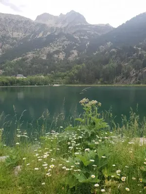 Paisaje cerca de este apartamento