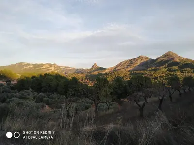 Paisaje cerca de este apartamento