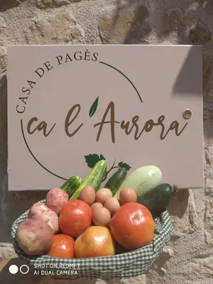 Comida en o cerca de este apartamento