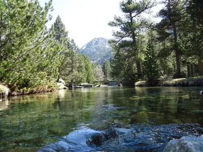 Paisaje cerca de este apartamento